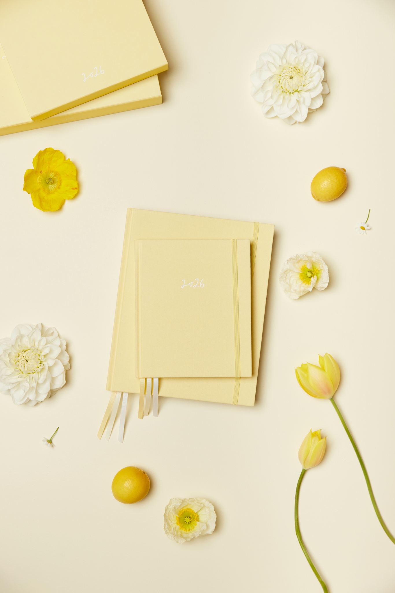 2026 Planner ~ Signature Horizontal Weekly DAISY