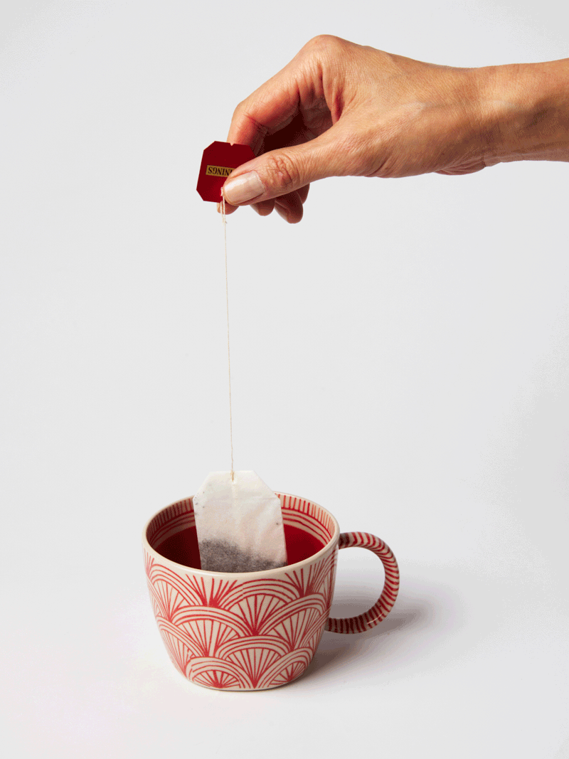 Caravan Mug Ruby