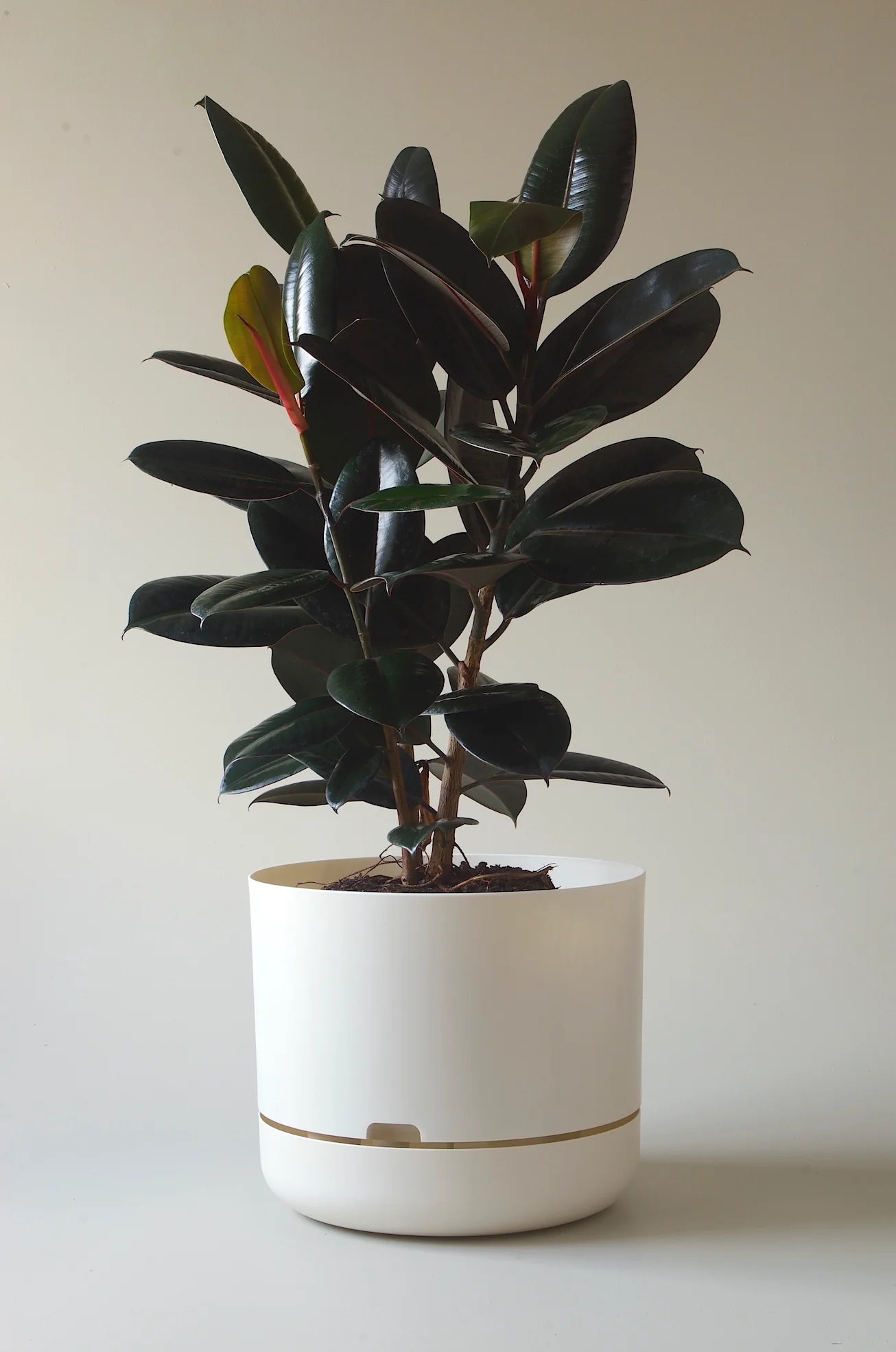 Self Watering Pot White Linen