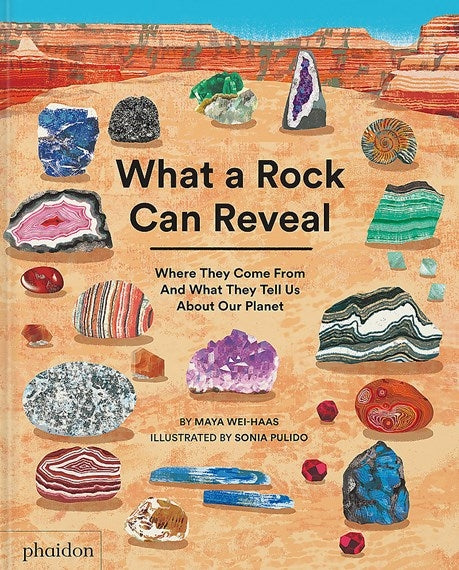 What a Rock Can Reveal