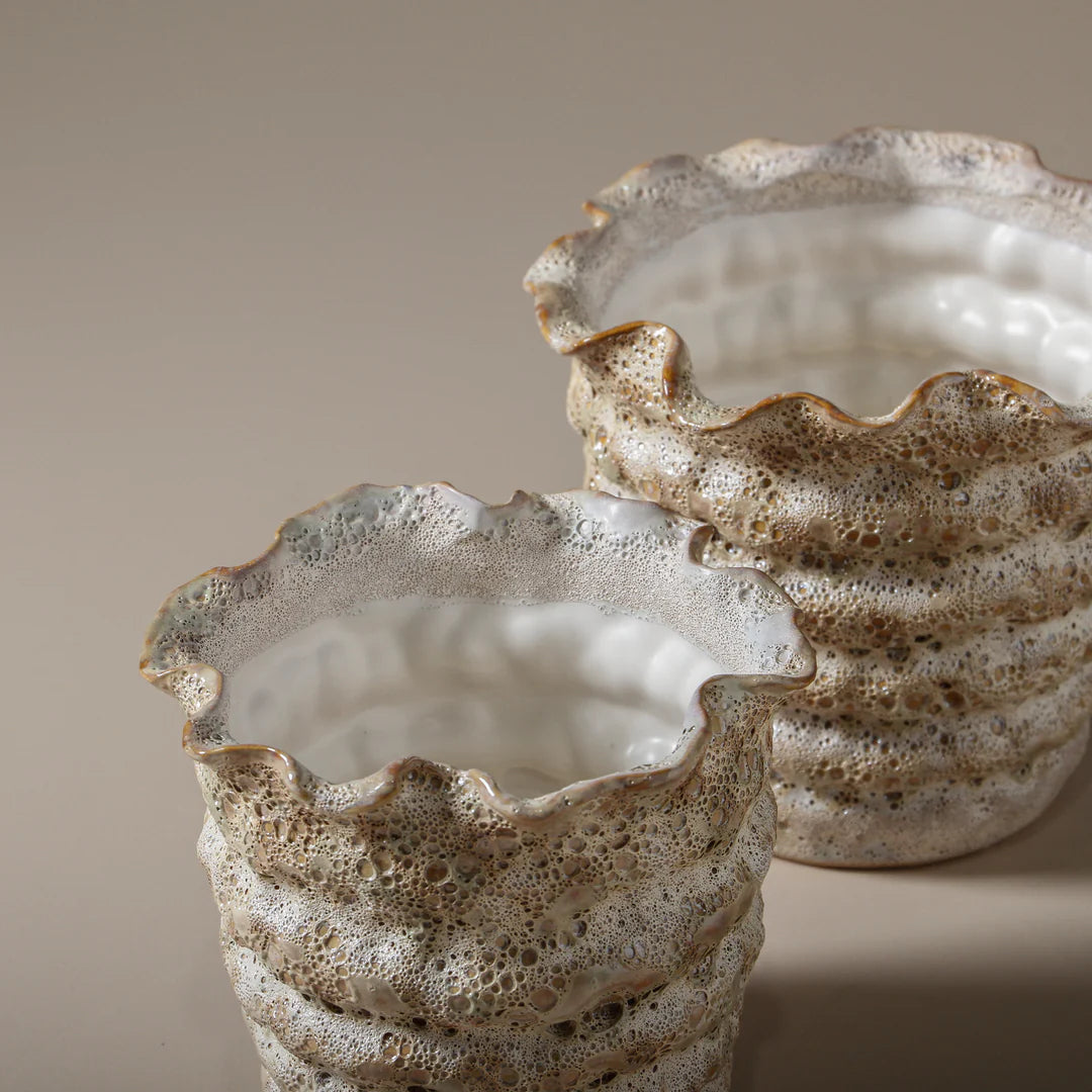 Nautilus Pot