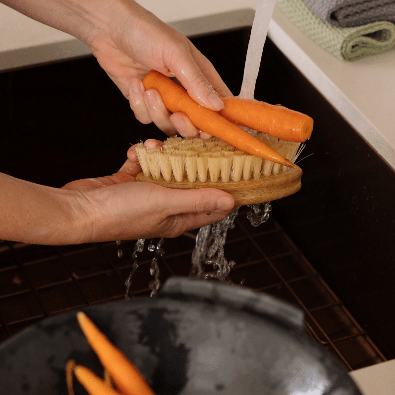 Vegetable Brush