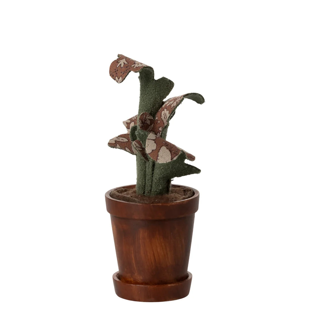 Flower Pot with Plant