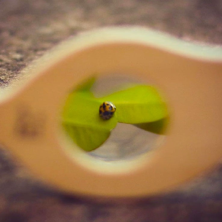 Wooden Magnifying Glass