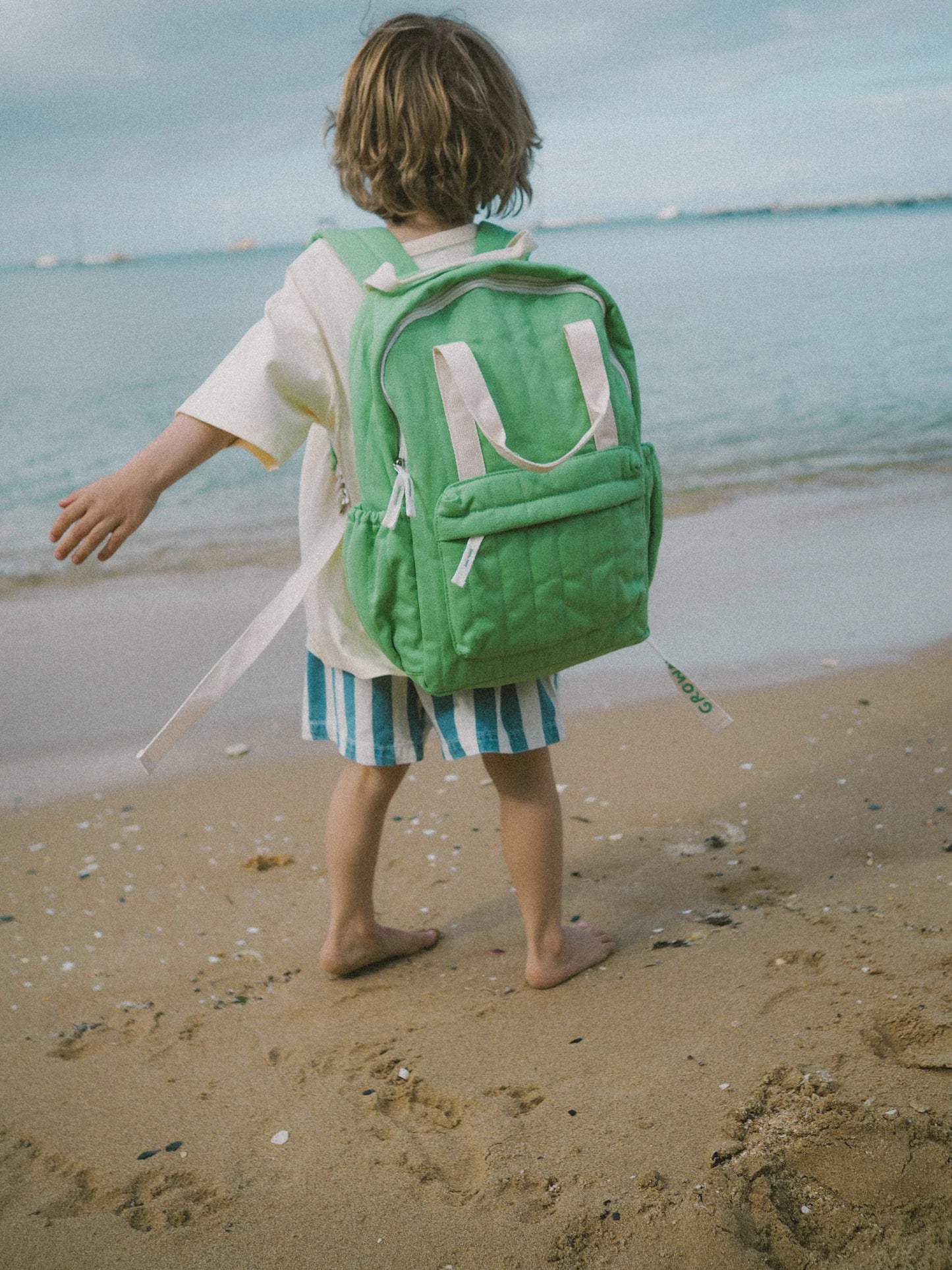 Everyday Backpack ~ Apple