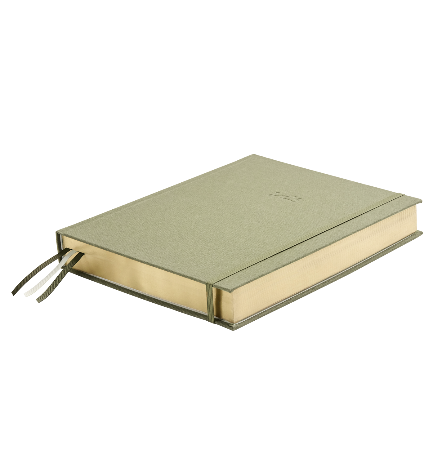 2025 Planner Grande DAILY - Highline