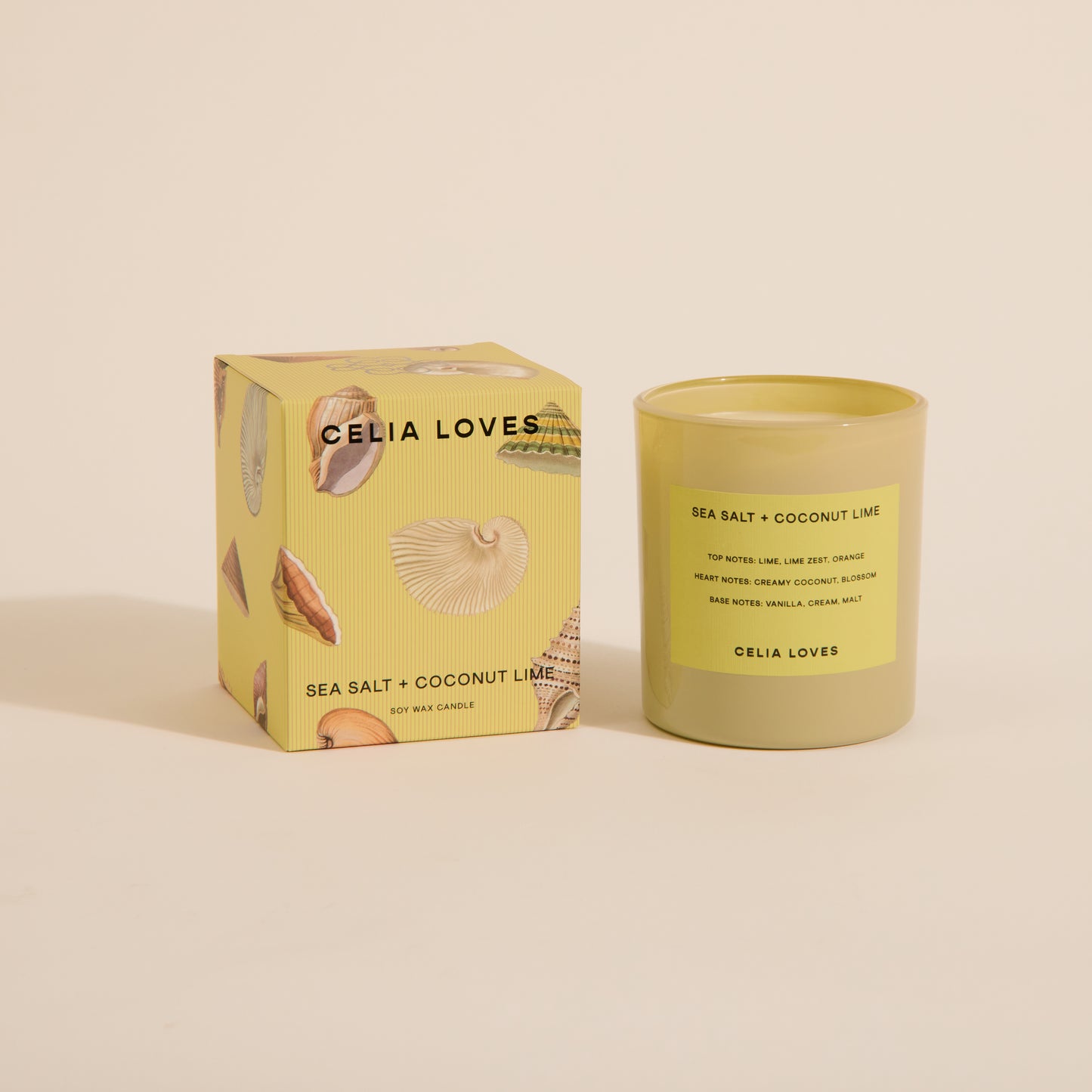 Field Notes Candle Sea Salt Coconut Lime 80hr