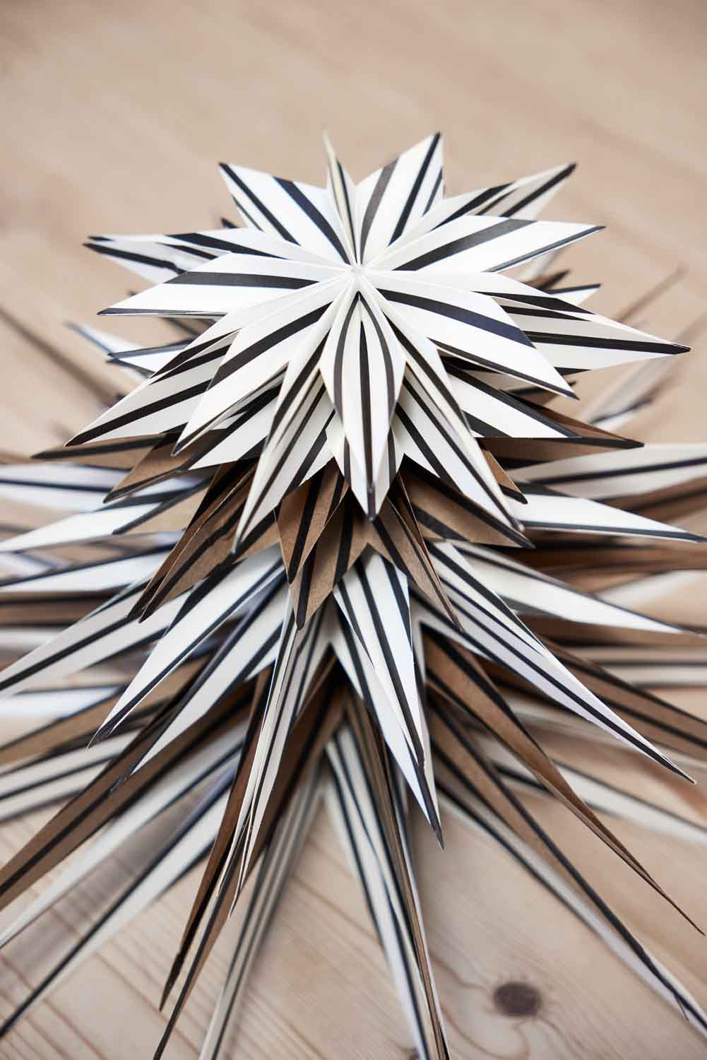 Toppu Christmas Star Medium