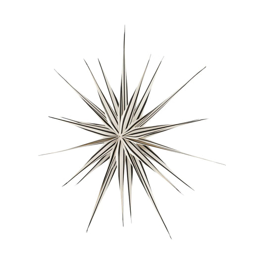 Toppu Christmas Star Large