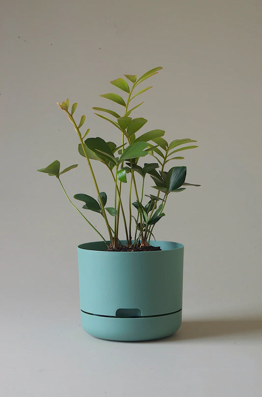 Self Watering Pot Cabinet Green