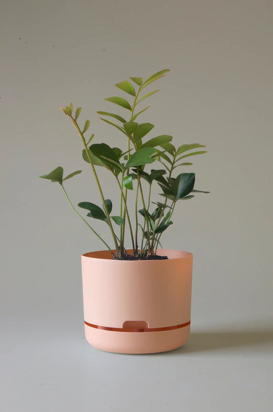 Self Watering Pot Pale Apricot