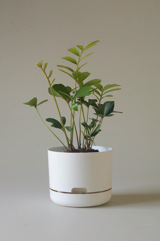 Self Watering Pot White Linen