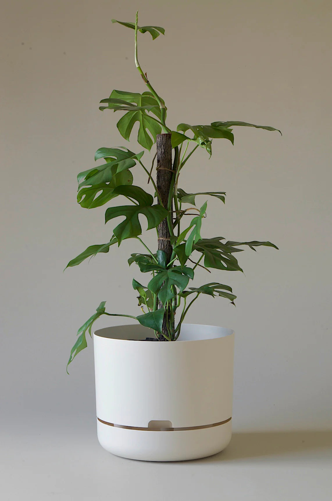 Self Watering Pot White Linen