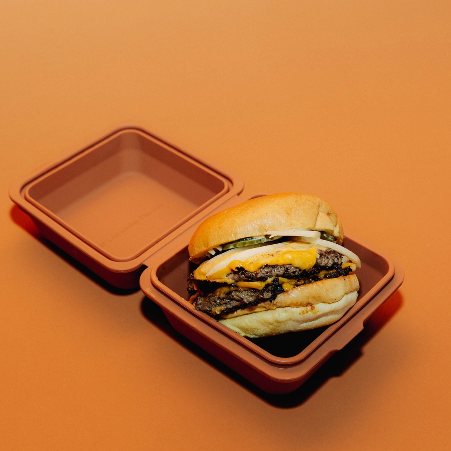 The Burger Box Spice