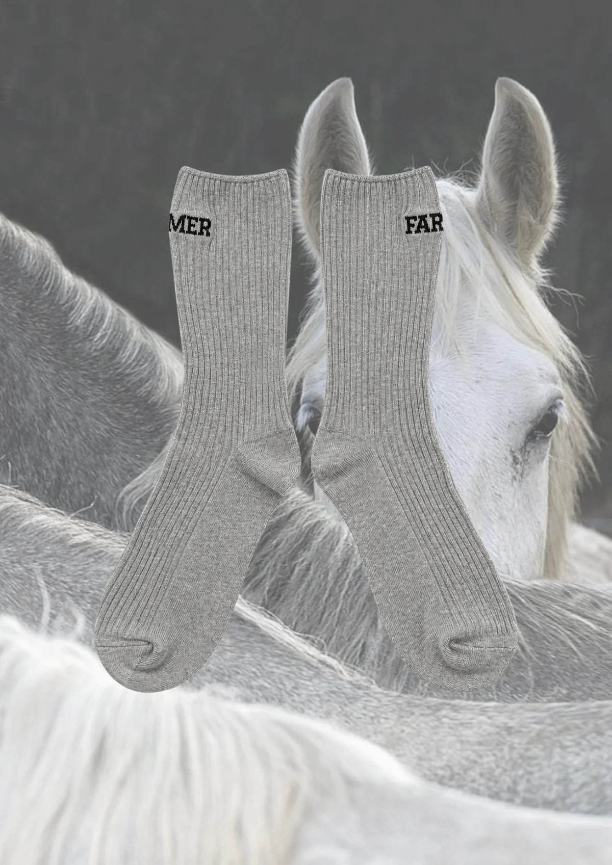 Grey Gelding Socks