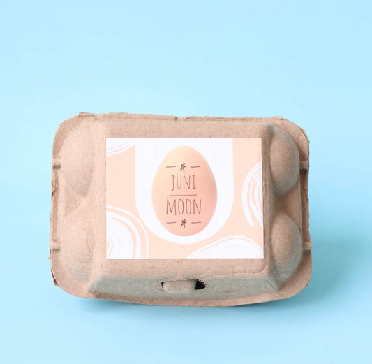 Felt Eggs in Carton
