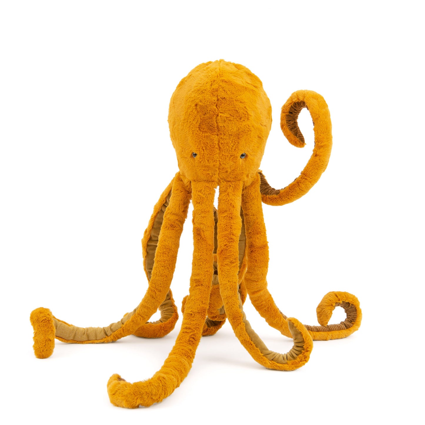 Autour du monde Large Octopus