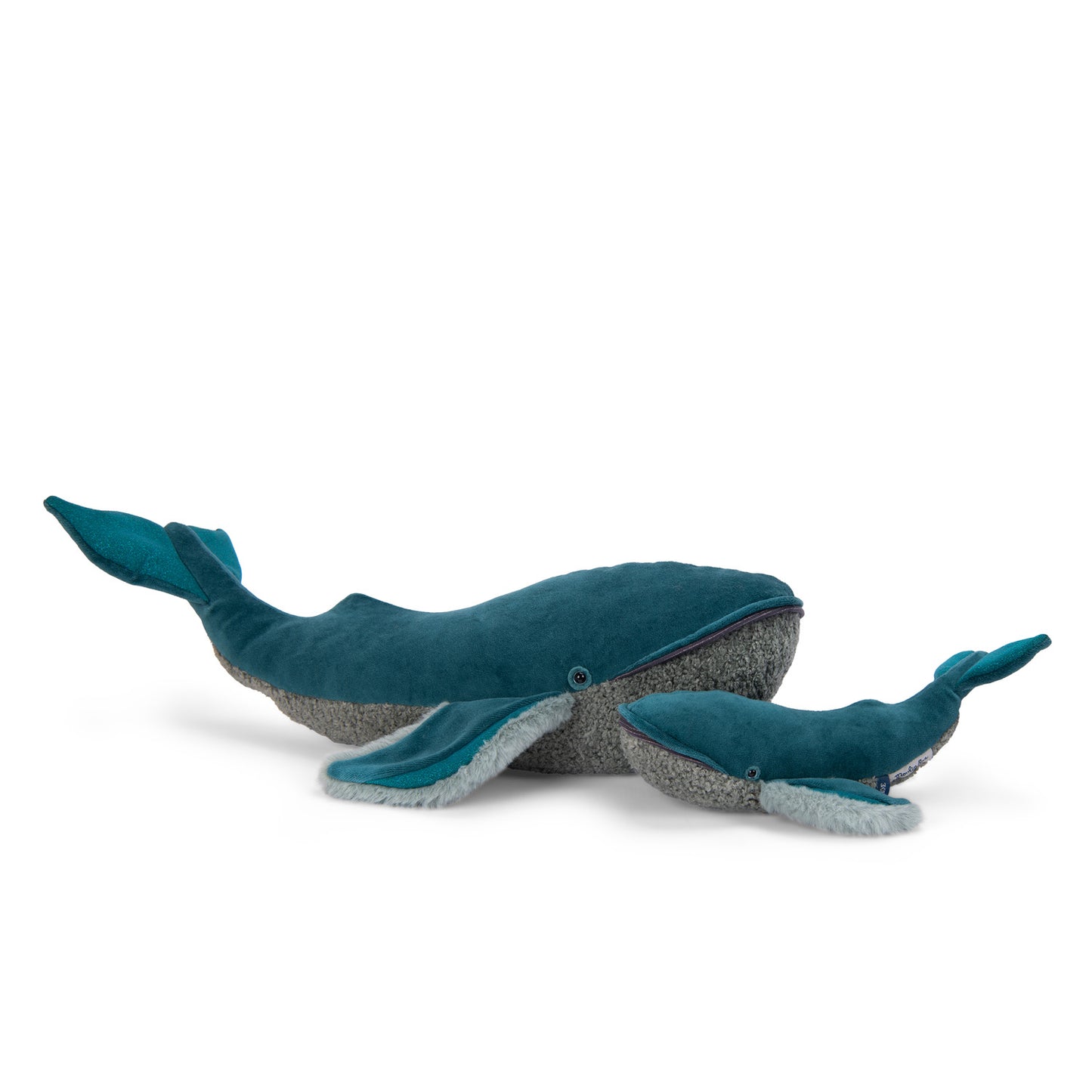 Autour du monde Whale