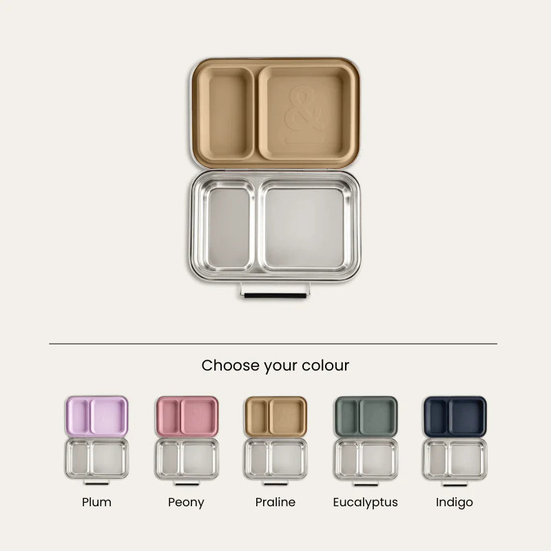 Bento Lunch Box