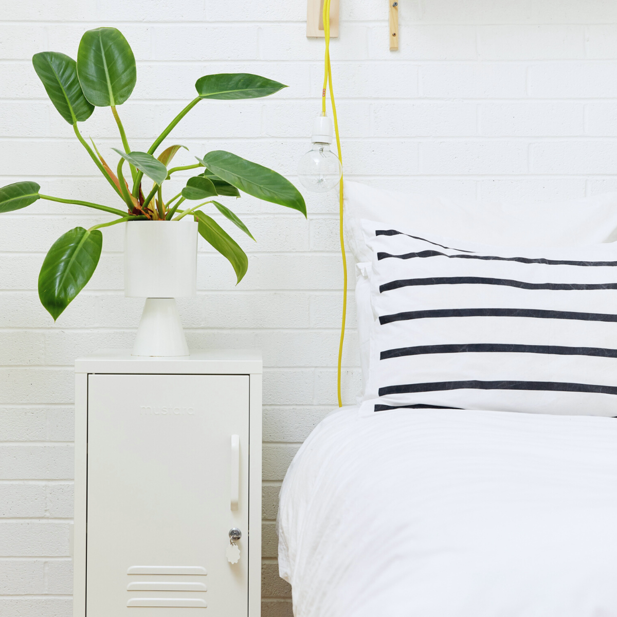 The Shorty OG Locker