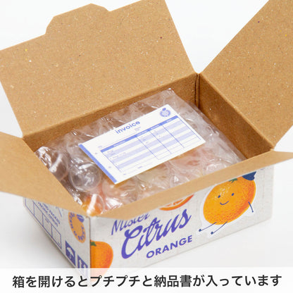 Haco Sticker Boxes