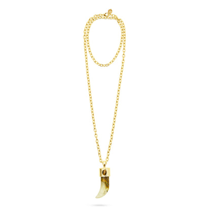 Shark Tooth Pendant Necklace - Watermelon Skin