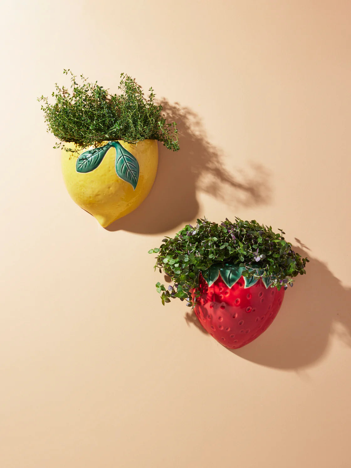 Fragola Wall Hanger