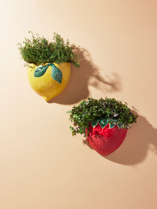Fragola Wall Hanger