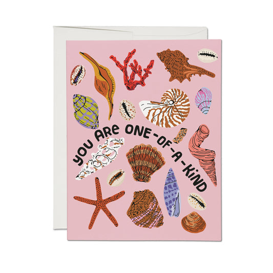 Special Seashell Card
