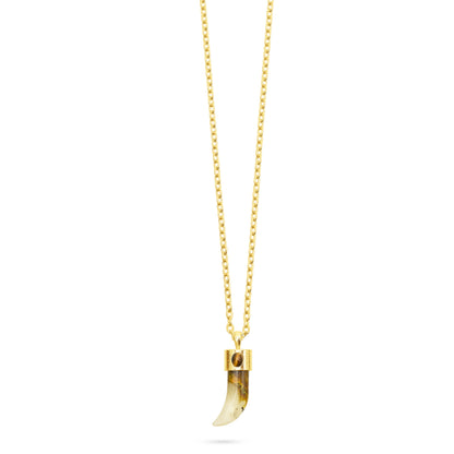 Shark Tooth Pendant Necklace - Watermelon Skin