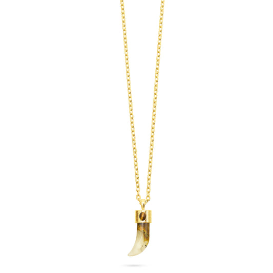 Shark Tooth Pendant Necklace - Watermelon Skin