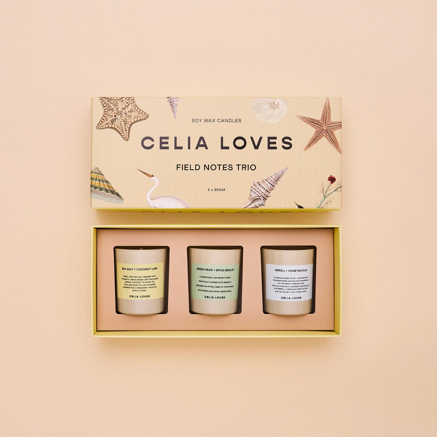 Trio Candle Set ~ Field Notes