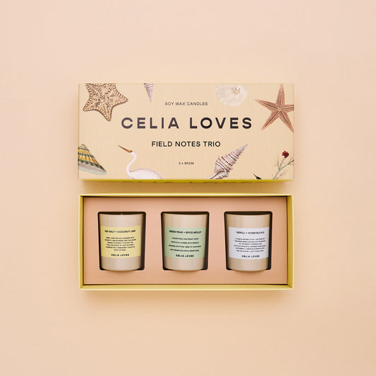 Trio Candle Set ~ Field Notes