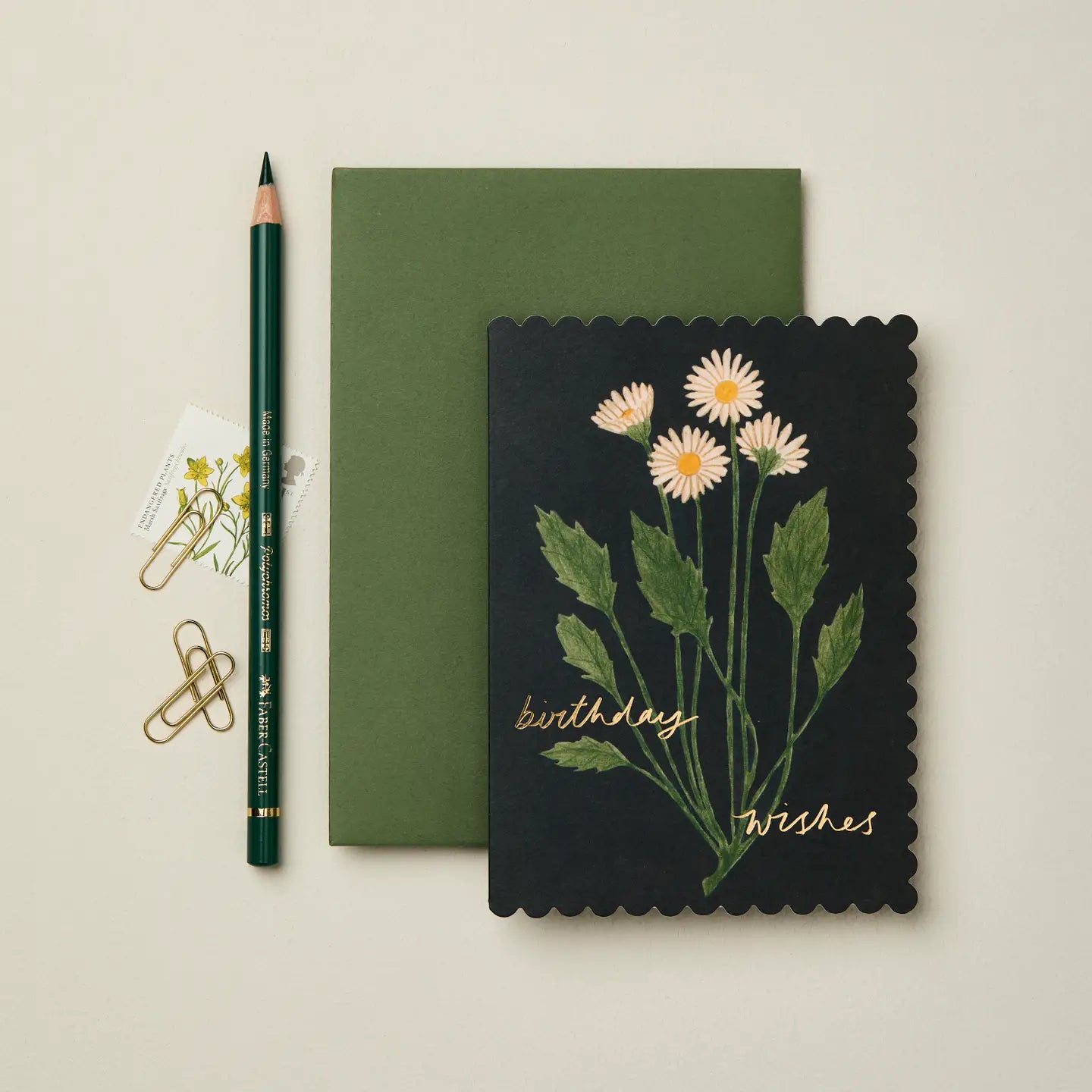 Botanical Daisy 'birthday Wishes'