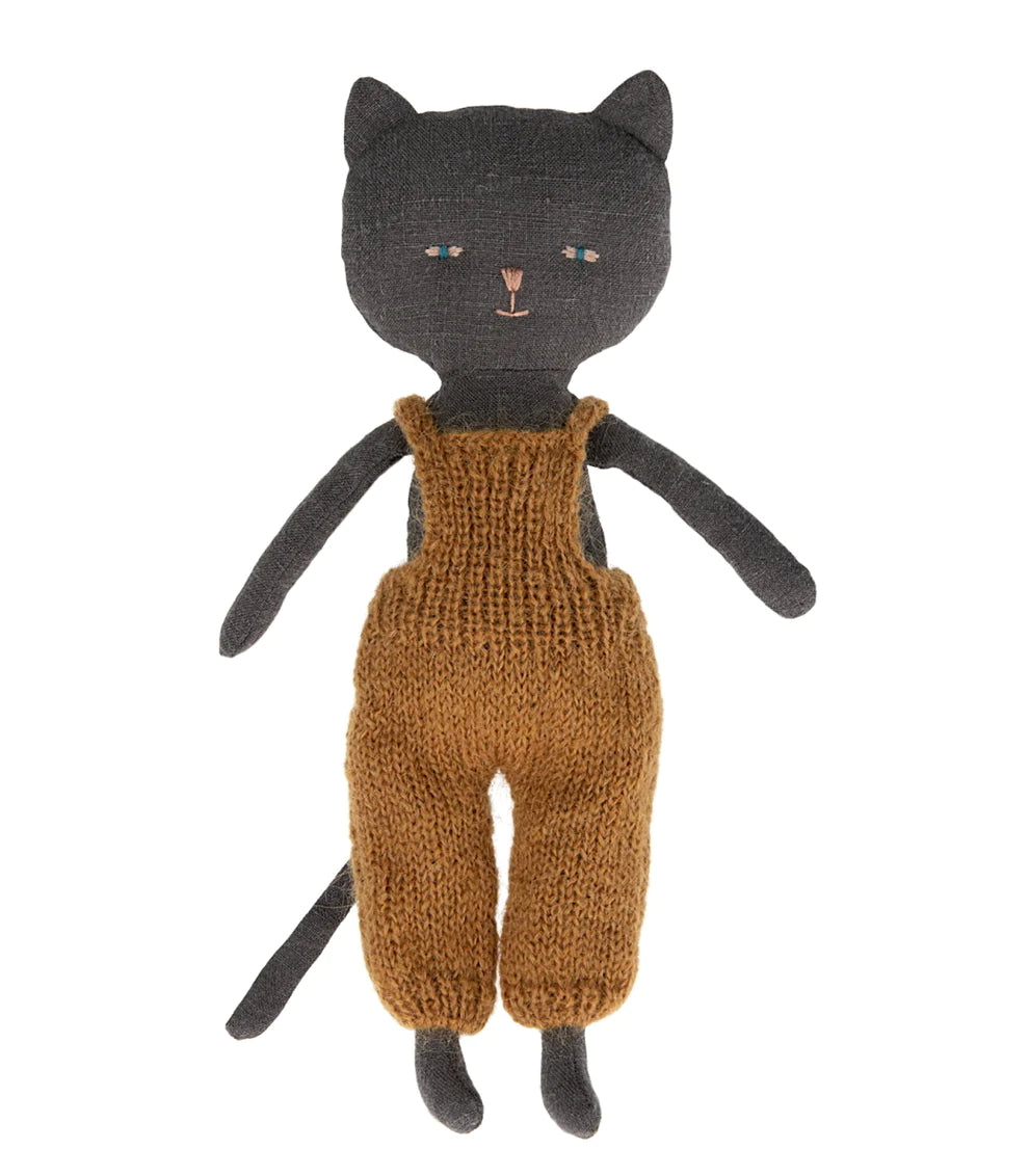 Chatons Kitten