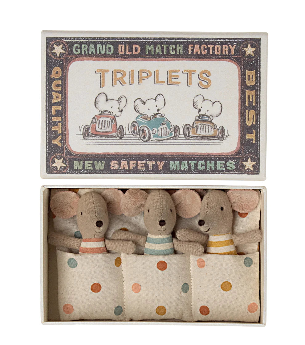 Mice Triplets in Matchbox