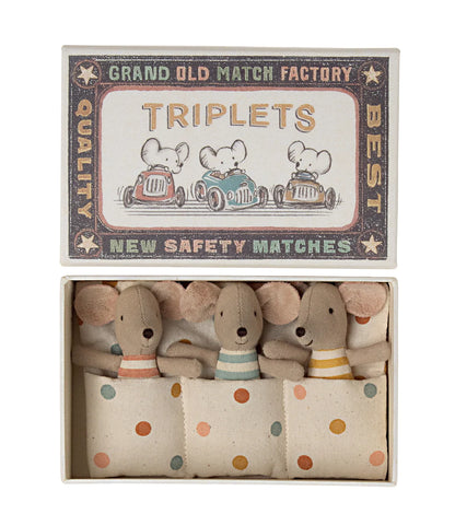 Mice Triplets in Matchbox