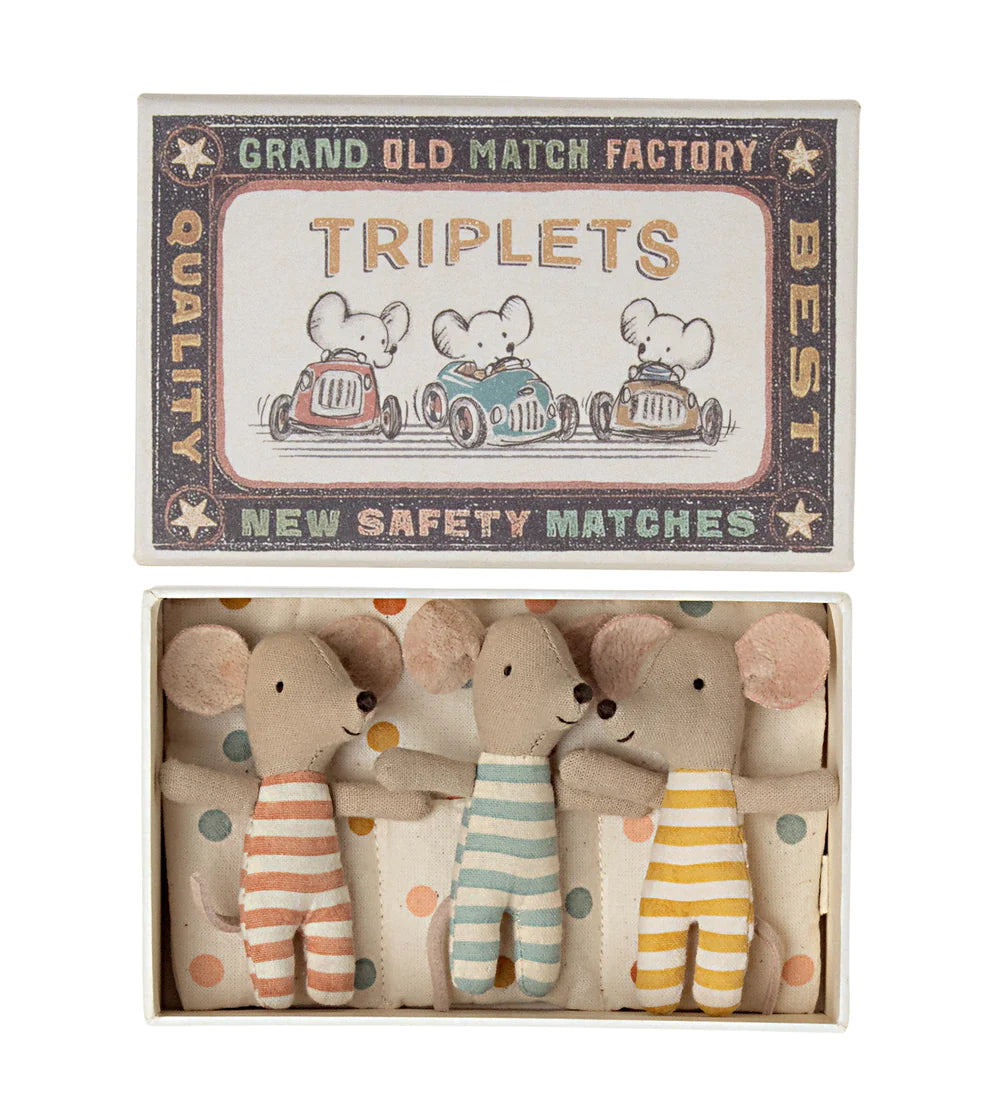 Mice Triplets in Matchbox
