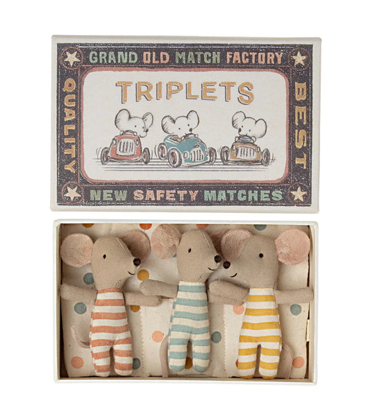 Mice Triplets in Matchbox