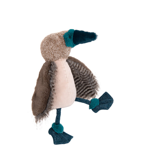 Crazy Bird with Blue Feet Autour du monde