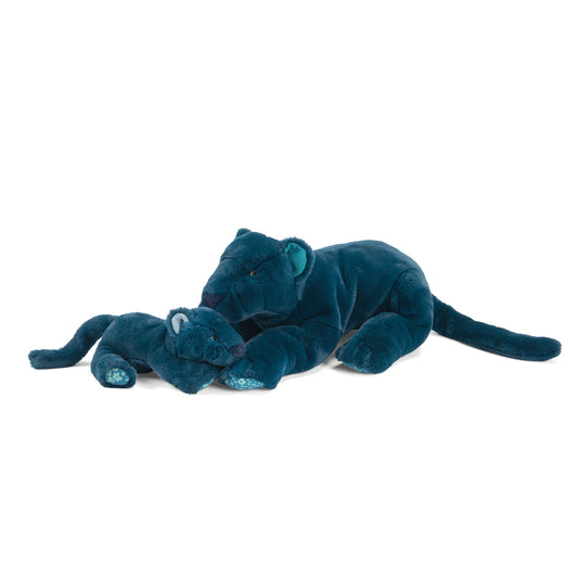 Autour du monde Panther