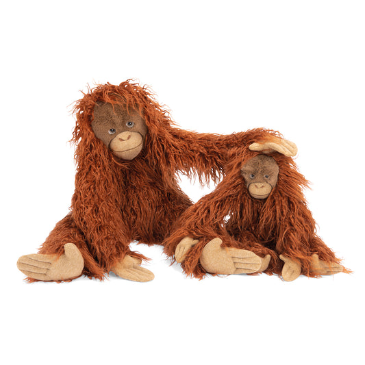 Autour du monde Orangutan