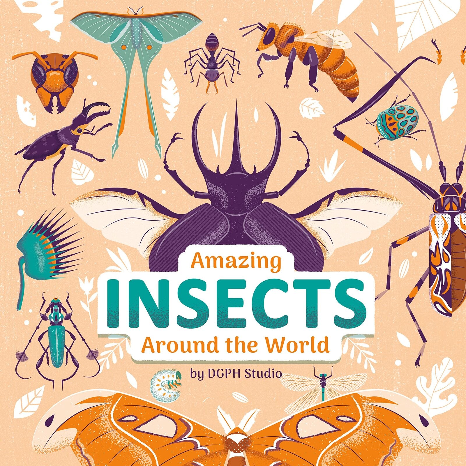 Amazing Insects Around the World – Wander + Laze