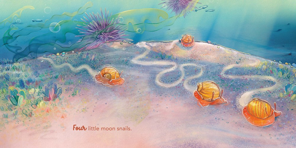 In the Rockpool