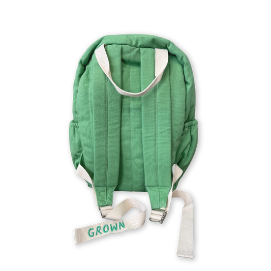 Everyday Backpack ~ Apple
