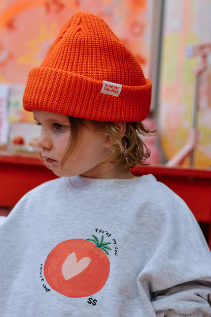 Fruit Loop Sweater Grey