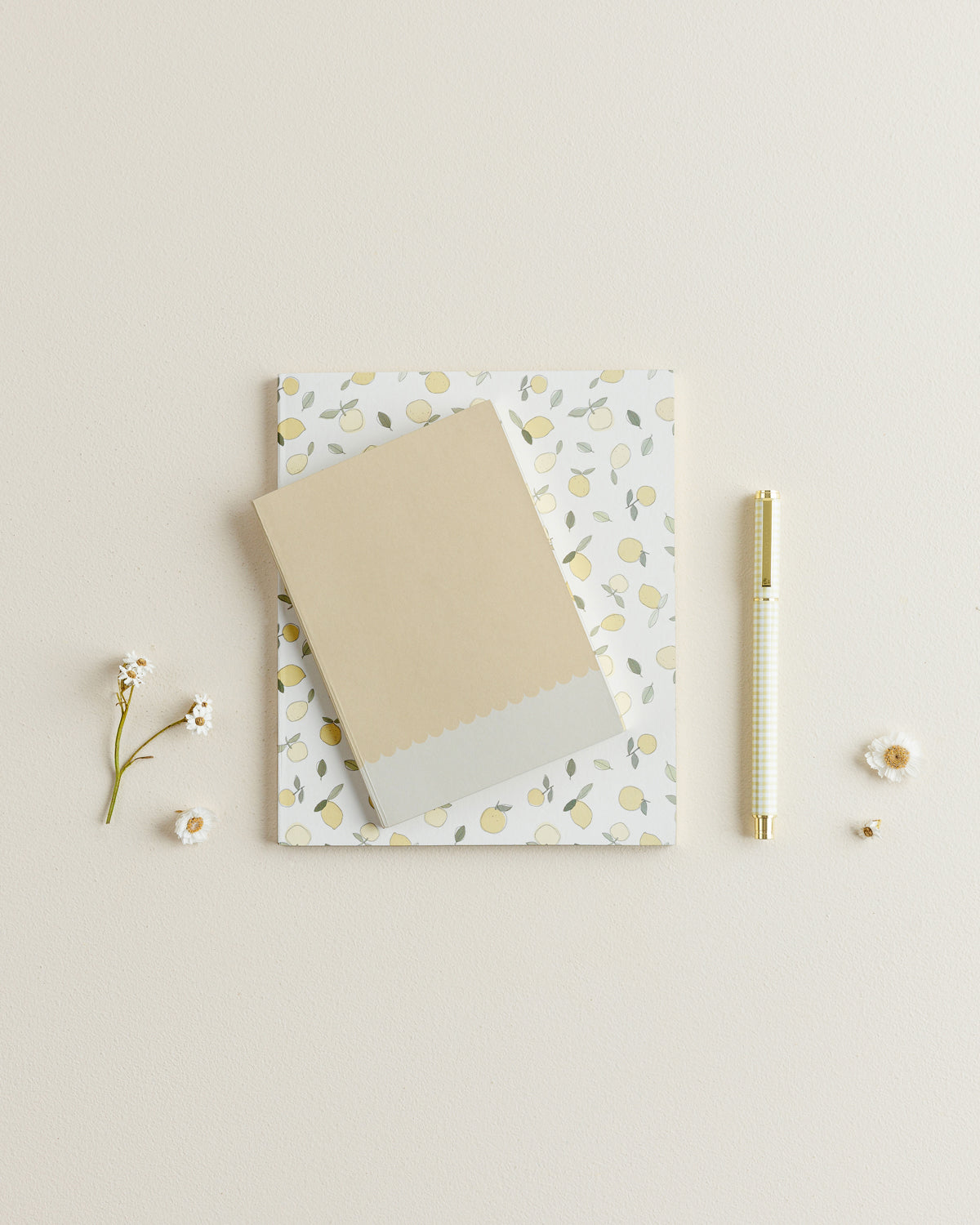 Notebook Petite Limoncello