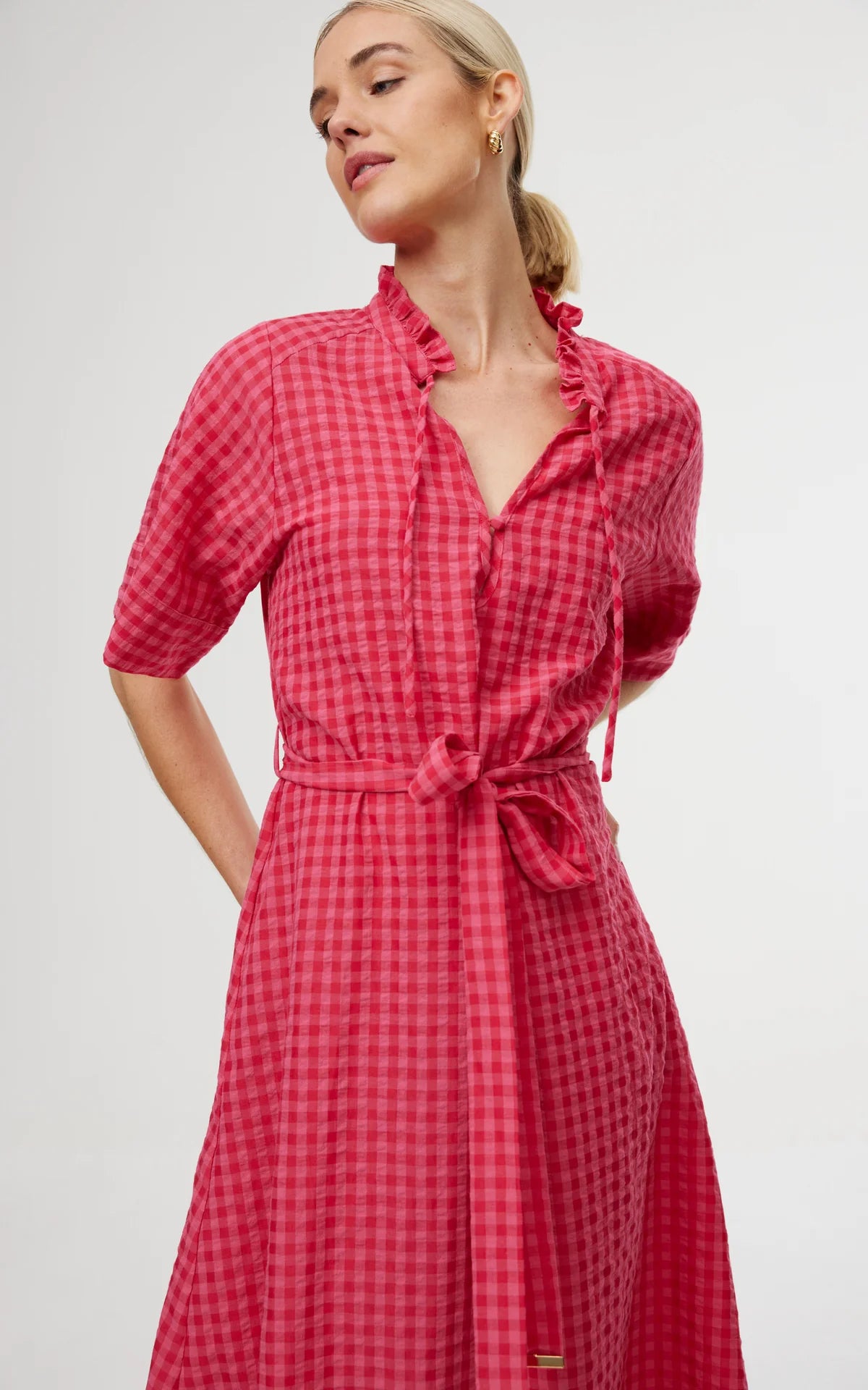 Dylan Dress Rosas Gingham