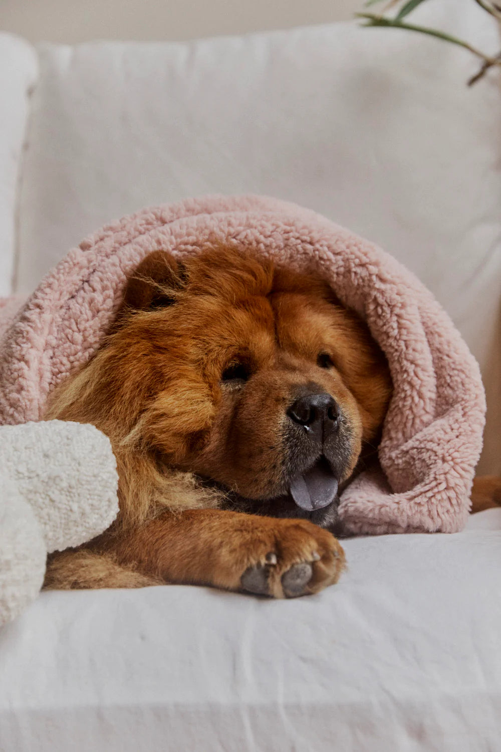 Faux Fur Pet Blanket