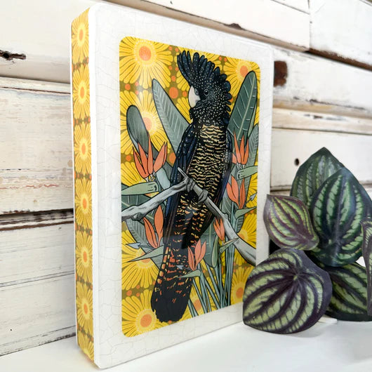 Red Tailed Black Cockatoo Medium Art Tile